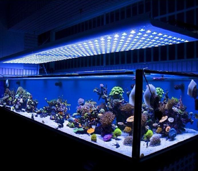 Aquarium LED Lighting